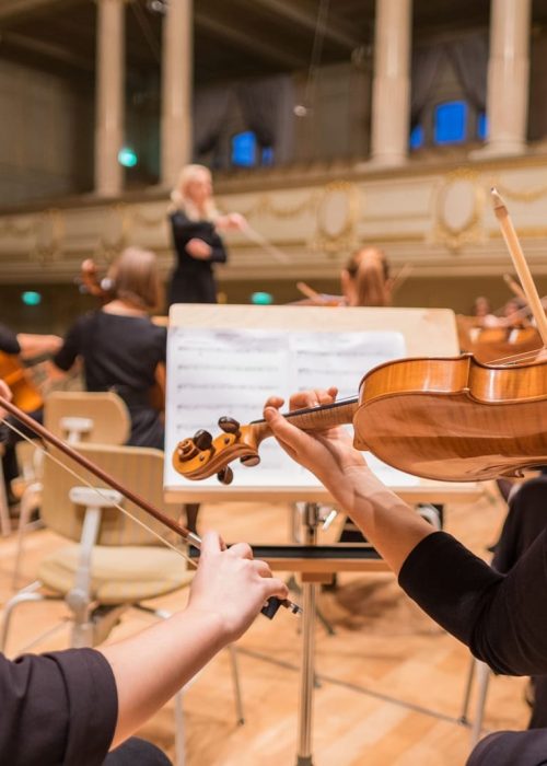 360 viola violino